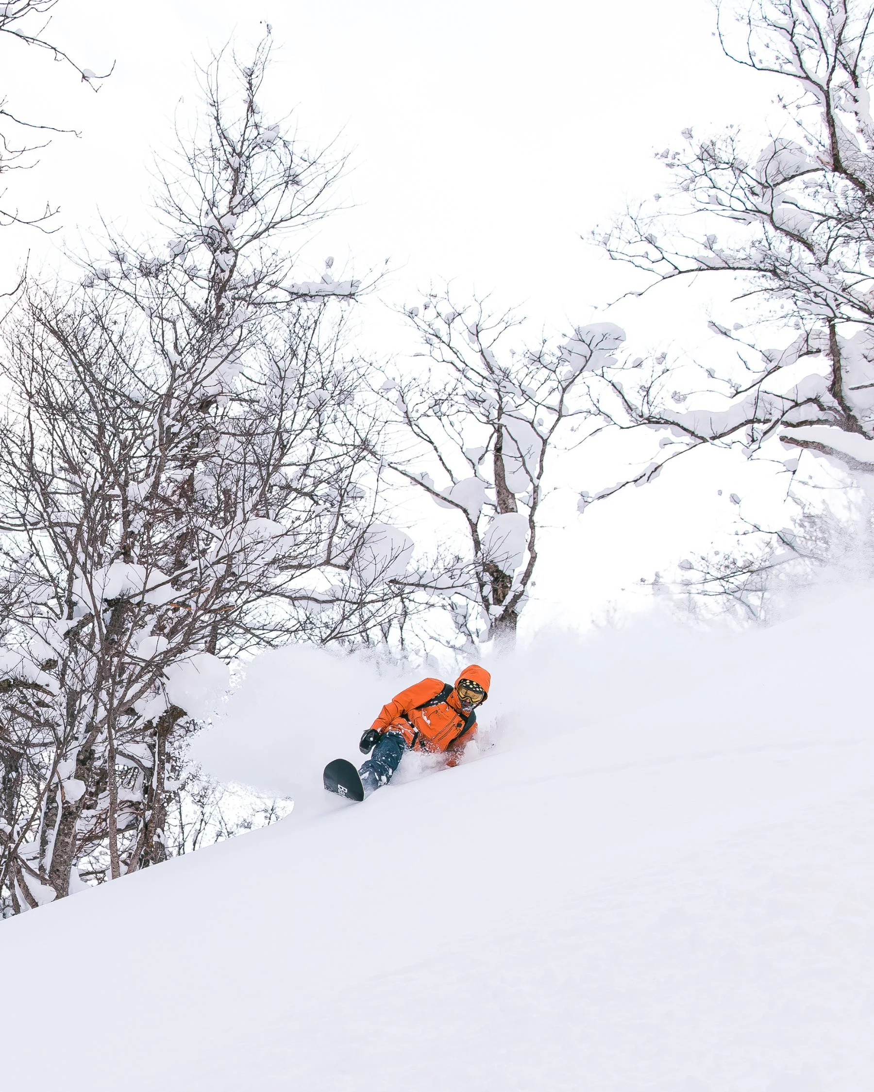 Surfer - Image 11