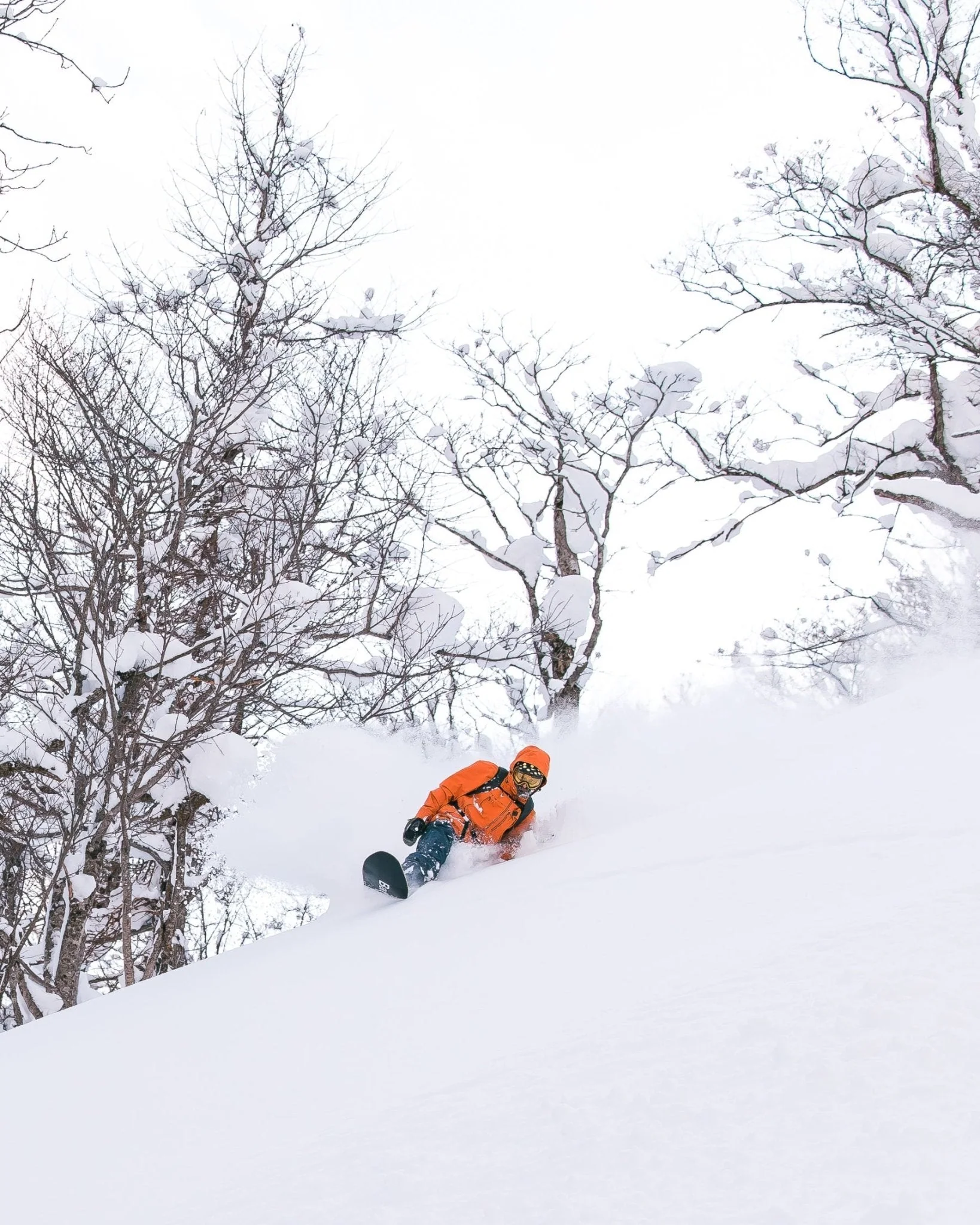 Surfer - Image 5